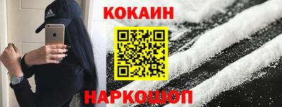 герыч Кингисепп