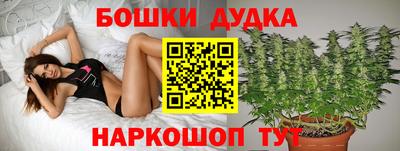 молекула духа Кинель