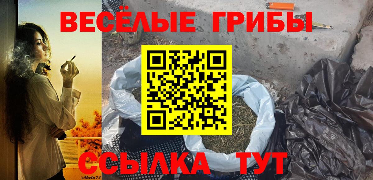Сочи  что такое наркотик  Вход с VPN  Псилоцибиновые грибы мицелий 