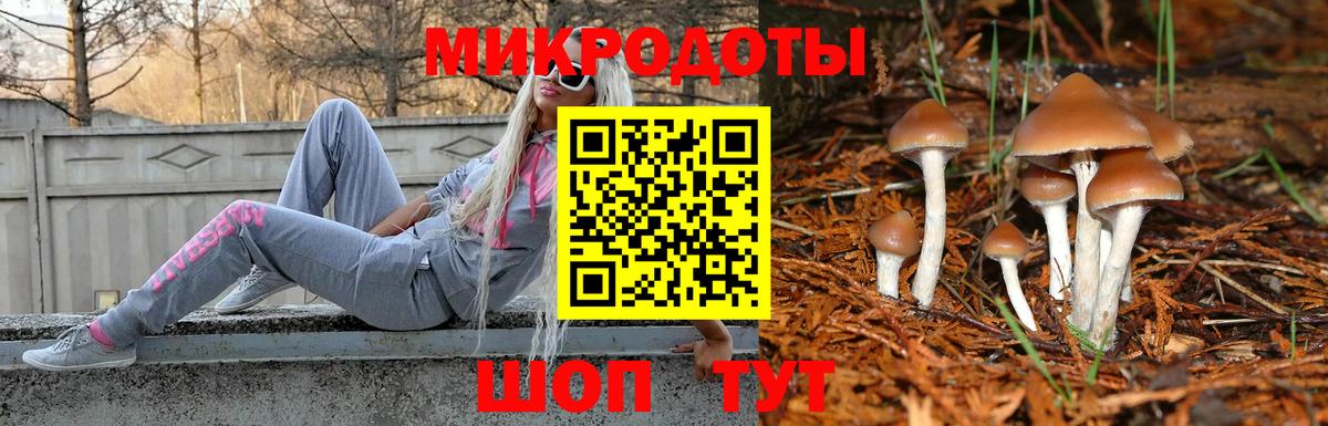 Псилоцибиновые грибы Psilocybe Сочи